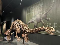 -遇见博物馆(遇见海洋沉浸式奇幻光影展)