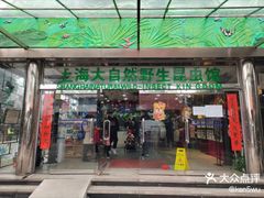 -上海大自然野生昆虫馆(东方明珠·爬宠昆虫探索中心)