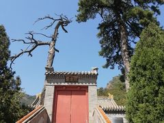 -妙峰山风景名胜区