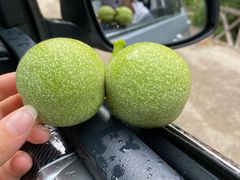 -梨木台悦来客农家院