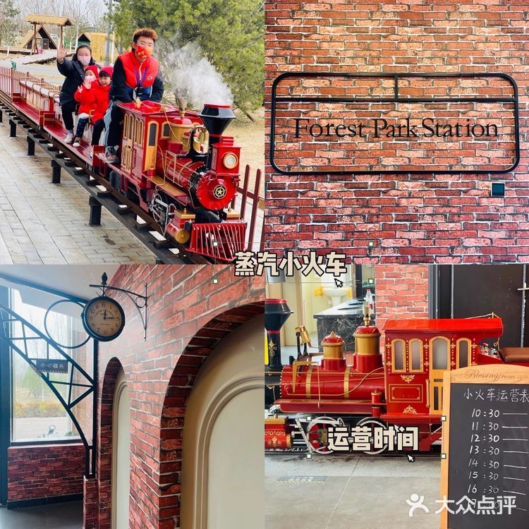 北京遛娃 |森林奇趣乐园🦌与小鹿一起奔跑