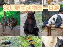 -深圳野生动物园