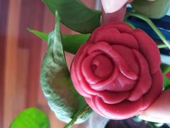 -沈大成(城隍庙店)