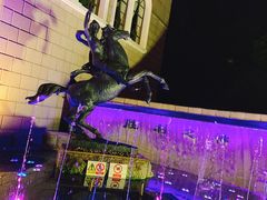 -上海安亭别墅花园酒店