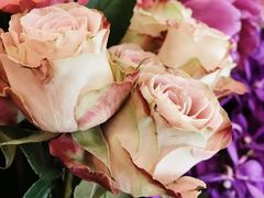 -FLOVIE FLORIST CAFE