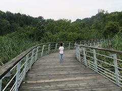 -西湖风景区-江洋畈生态公园