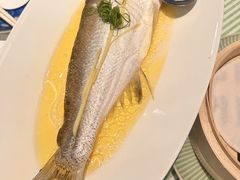 -桂满陇·蟹黄小笼汤包(环球港店)