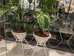 -% Arabica阿拉比卡咖啡(前滩太古里店)