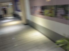 -汇乐游泳馆(莲花南路店)