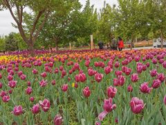 -长春公园(普阳街道)