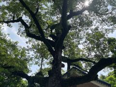 -广州中山纪念堂