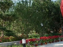 -武清南湖绿博园