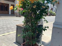 -海口骑楼老街历史文化街区