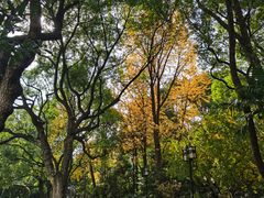 -复旦大学附属华山医院(总院)