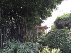 -晓港公园