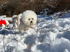 -太子岭滑雪场