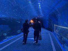 -成都浩海立方海洋公园