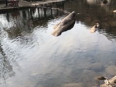 -武汉姚家山旅游景区