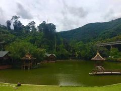 -西双版纳原始森林公园