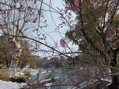 -沙市市中山公园