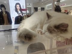 -丽达购物中心(崂山店)