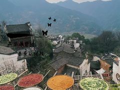 -婺源风景区