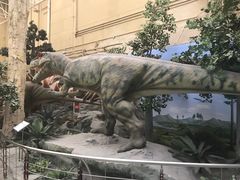 -国家自然博物馆