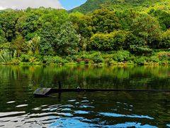 -深圳仙湖植物园