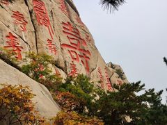 -崂山仰口游览区