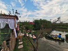 -樂桃源奉贤黄桃种植采摘基地