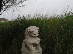 -哈素海