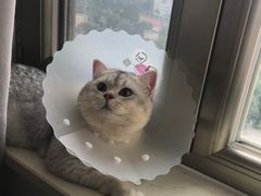 -美联众合动物医院·24h京西诊疗中心