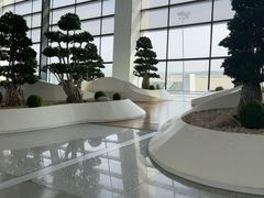-郑州新郑国际机场-T2航站楼