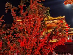 -大唐不夜城