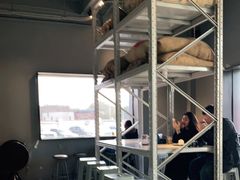 -来回·咖啡(钟村咖啡豆店)