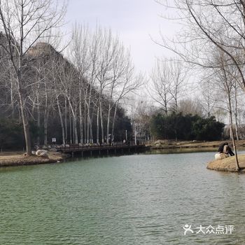 这个森林公园，景色优美，面积大，层软叠嶂