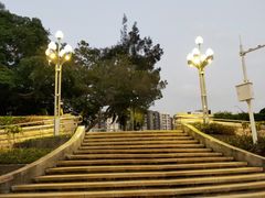 -宝安西湾红树林湿地公园