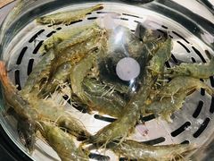 -日进一片海.生腌海鲜火锅.宵夜烧烤(三里屯总店)
