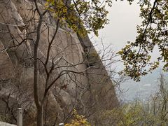 -北京凤凰岭