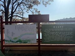 -桃花堤公园