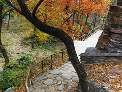 -北京上方山国家森林公园