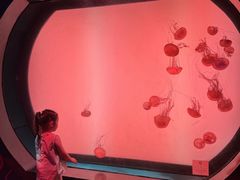 -沈阳海洋探索中心