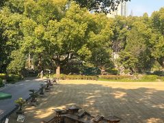 -申粤轩酒楼·三十年粤菜经典(丁香花园店)