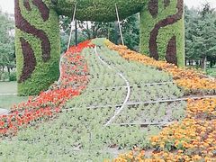 -长春公园(普阳街道)