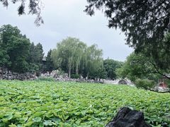 -莲池书院博物馆