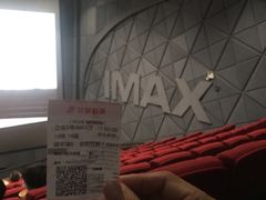 -飞扬影城(正佳IMAX店)