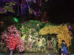 -杭州黄龙洞