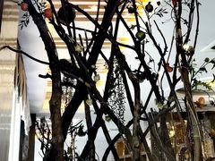 -两岸咖啡(东川路店)
