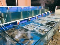 水产区-金渔村海鲜烧烤大排档