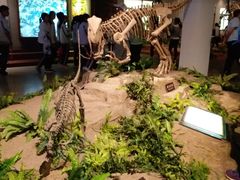 -自贡恐龙博物馆